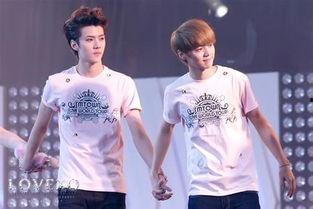 勋鹿贴吧爆料最新消息,最新动态揭秘，粉丝热议不断！