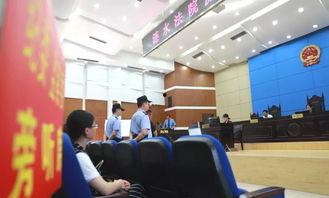 江苏村书记爆料案件最新,揭开乡村腐败黑幕