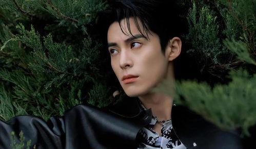 王鹤棣八卦最新爆料,揭秘明星背后的甜蜜故事