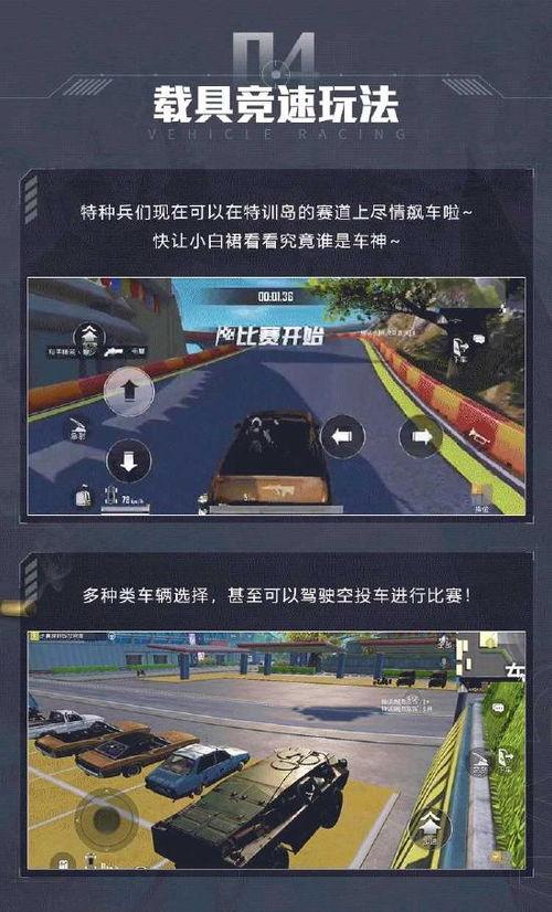 和平精英最新特训岛爆料