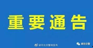 文安爆料视频最新一期,揭秘幕后真相，热点事件再掀波澜